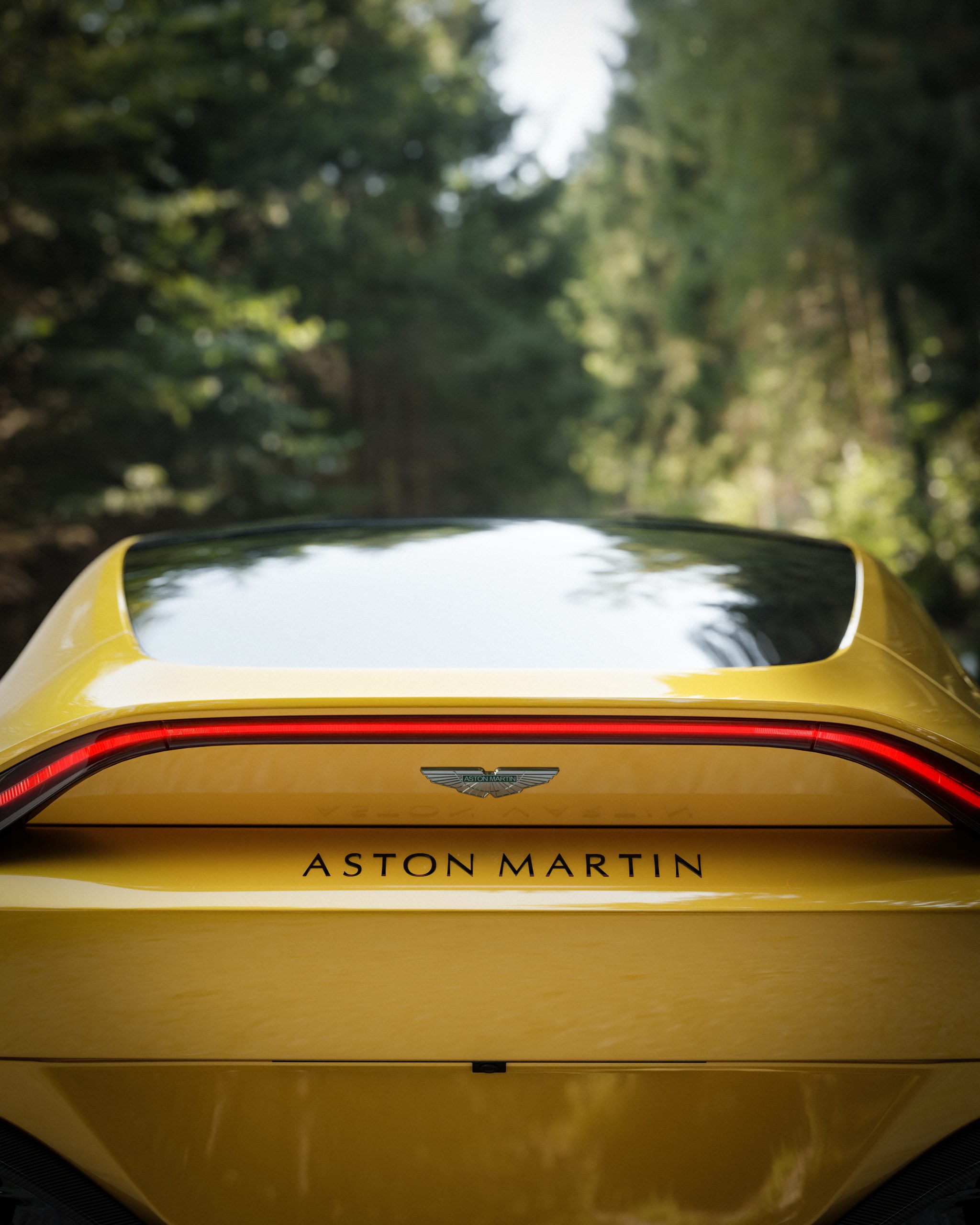 Aston Martin Vantage w/ R³ Wheels R3H02 bicolor black-polished